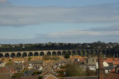 DSC_7238 (Large).JPG